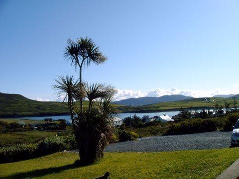 Decourcey'S Hazelbrook Farmhouse B&B Cleggan Exteriör bild